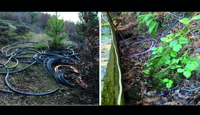 9 faili meçhul hırsızlık olayının 5 zanlısı yakalandı