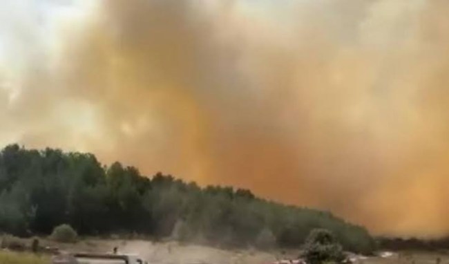 Ankara'da başlayan yangın Bolu'ya sıçradı