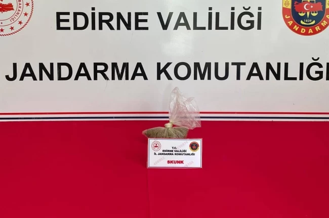 Edirne Keşan'da Skunk ele geçirildi