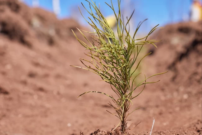 Uludağ Elektrik'ten elektronik fatura kullanımına teşvik