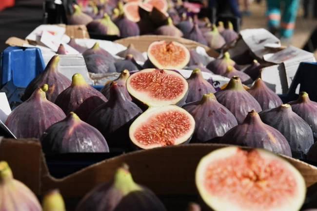 Siyah incir Bursa'nın gözbebeği