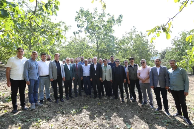 İnegöl'de hedef 42 bin ton ceviz