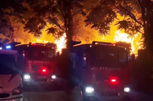 Bursa'da palet fabrikası alev alev yandı