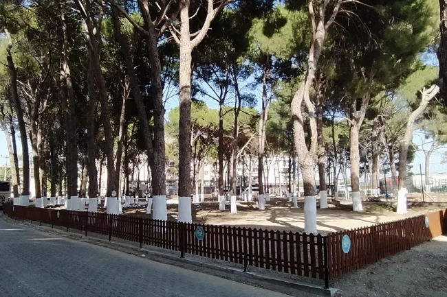 Manisa'da tarihi Muradiye Mezarlığı'na sahip çıktı