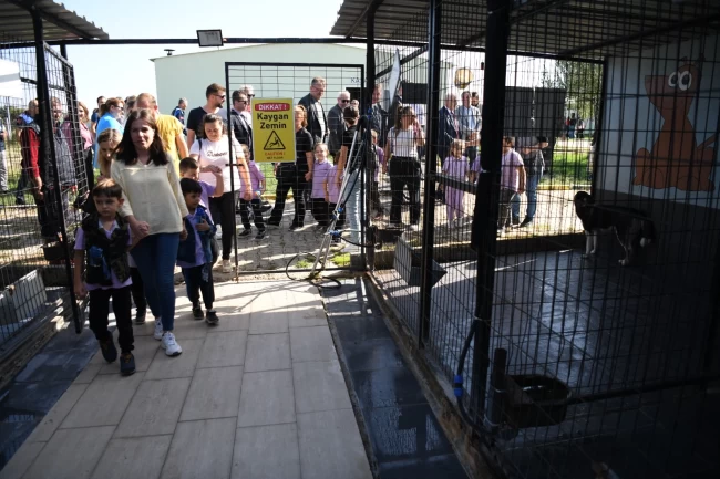 4 Ekim Hayvanları Koruma Günü'nde öğrenciler, patili dostlarıyla buluştu