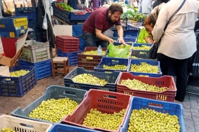 Bursa Tuz Pazarı'nda kurmalık zeytin satışı başladı