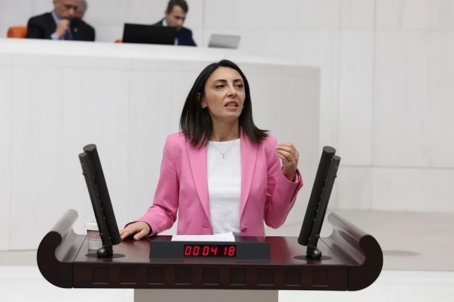 Bursa Kayapa'da yaşanan koku sorunu TBMM'ye taşındı