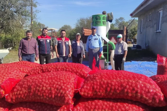 İpsala'nın Karaağaç Köyünde ceviz hasadı devam ediyor