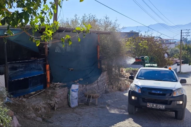 Manisa Büyükşehir'den ‘Mavi Dil' hastalığına karşı mücadele