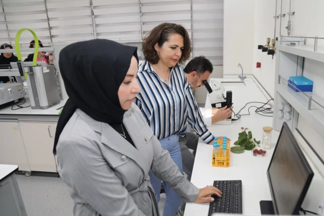 BTÜ'deDiyabet Hastalarına Özel Gıda Kaplaması Geliştirildi