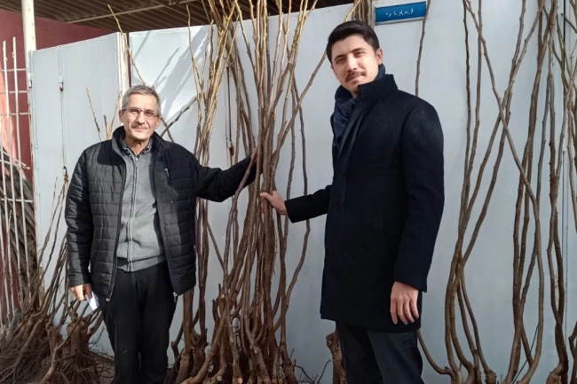 Bilecik Pazaryeri'nde meyvecilikte yeni dönem