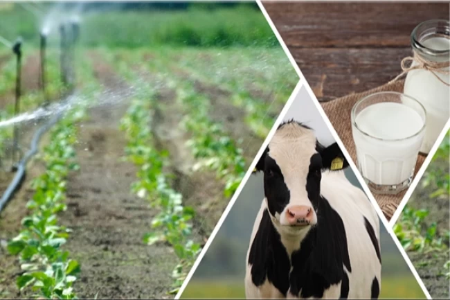 1,4 milyon TL'lik tarımsal desteklemeler hesaplarda