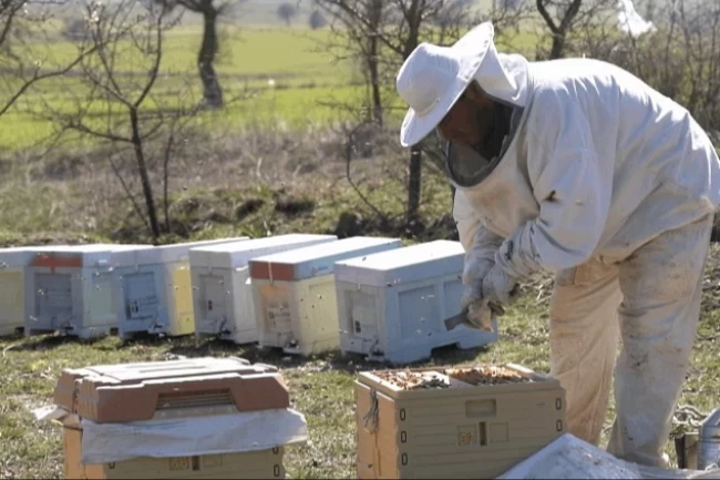 BAÇEM'de uygulamalı arıcılık kursu başlıyor