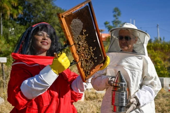 Bornova'da arıcılık kursuna kayıtlar başladı