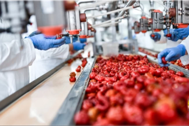 IPARD 3te 105 projeye 527,1 milyon TL