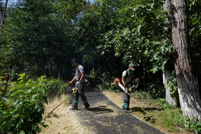 İstanbul Beylikdüzü'nde 2024'te yeşil alan ve altyapı atağı