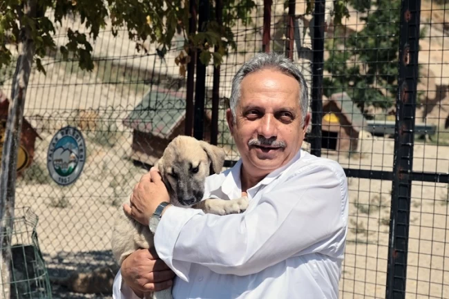 Kayseri Talas'ta sevimli patiler için çalışma