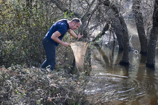 İzmir Bornova'nın doğal zenginliği gün yüzüne çıkıyor