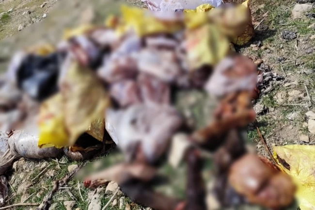 Mardin Yeşilli'den 'kaçak et kesimi' iddialarına yanıt