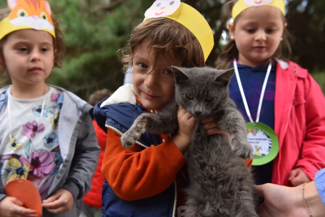 Bursa Yıldırım'da 625 patili dost sıcak yuvaya kavuştu