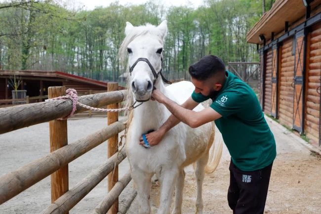 Bayramda doğanın kalbi Ormanya'da atacak