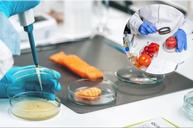 AB'nin 'Gıda Güvenliği'ne Türkiye'de katıldı... Gıda etiketi okuma alışkanlığı teşvik edilecek