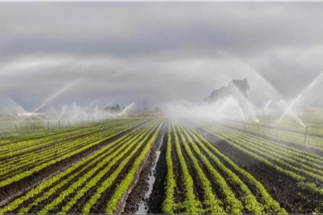 DSİ'den yapay zekâ destekli hamle