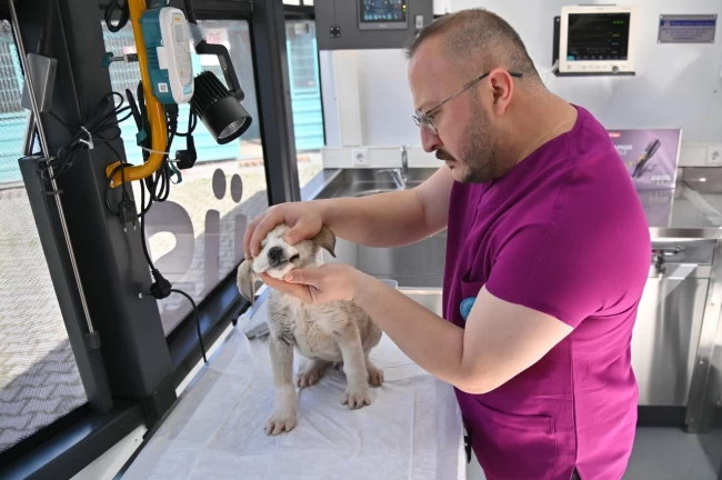 Manisa'da Vetbüs projesi hizmete başladı