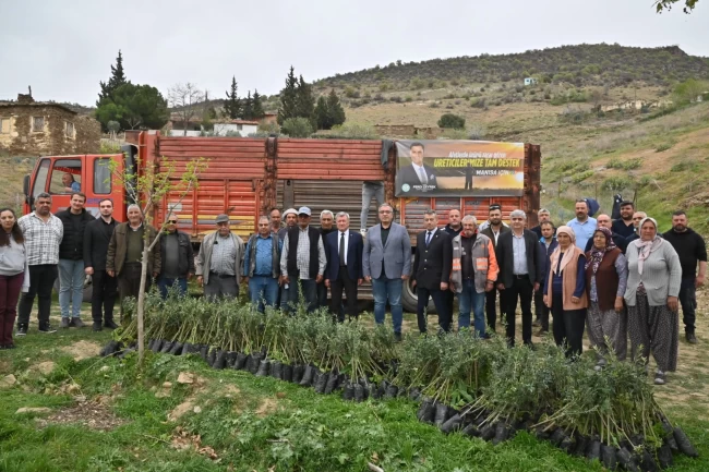 Mansia Büyükşehir yanan alanları yeşillendiriyor