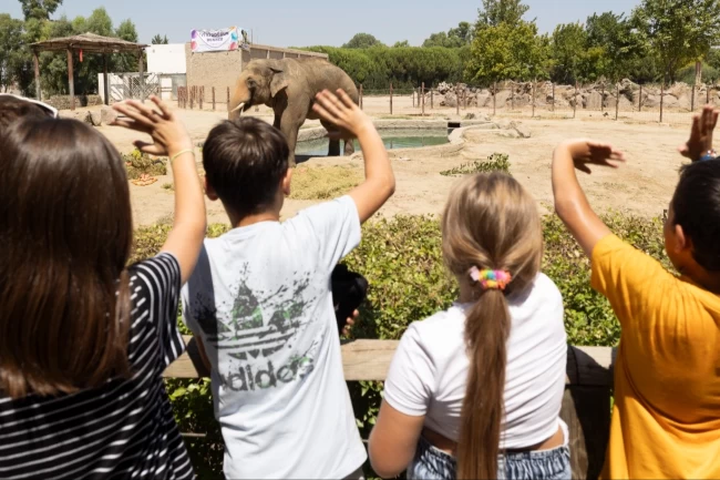 İzmir'de 'Doğal Yaşam'a girişler 27 Nisan'a kadar ücretsiz