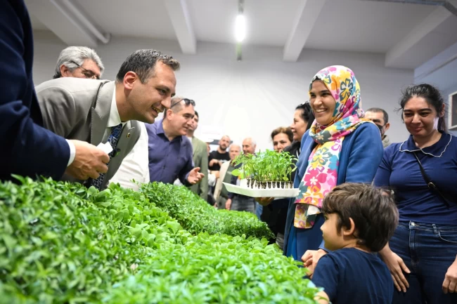 İzmir Bornova'da 400 bin fide toprakla buluşuyor