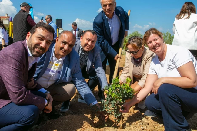 İzmir Güzelbahçe'de sakız ağaçları büyüyecek