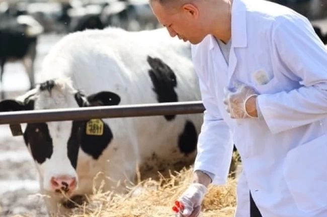 H-ÜFE'de yıllık en yüksek artış veterinerlik hizmetlerinde