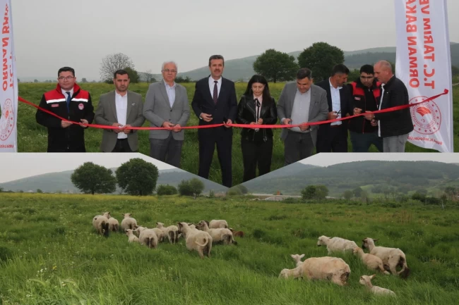 Bursa'da mera ıslahıyla hayvancılık güçleniyor