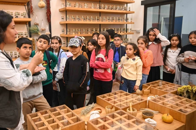 İzmir Bornova'da yerel tohuma çocuk eli!