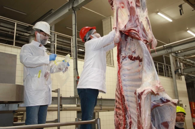 TSE'den Kocaeli mezbahasına tam not