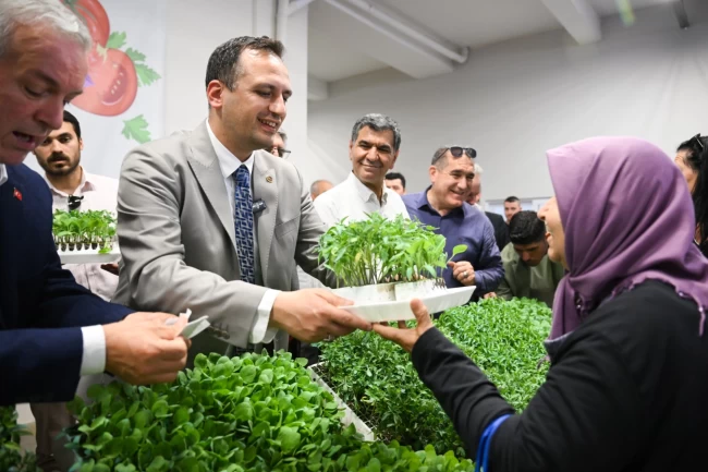 İzmir Bornova'da kırsala yeşil destek