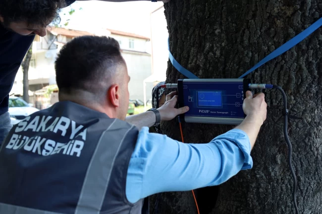 Sakarya'dan doğaya ‘şifa' gibi adım... Yeşil cennetin tomografisi çekilecek