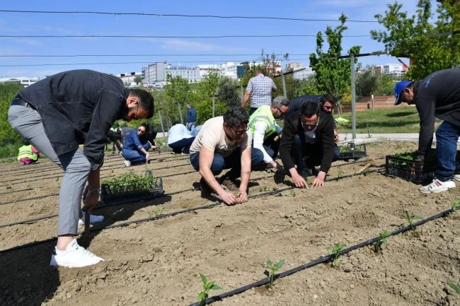 İstanbul Beylikdüzü'nde yaşam bahçesi yaza hazır