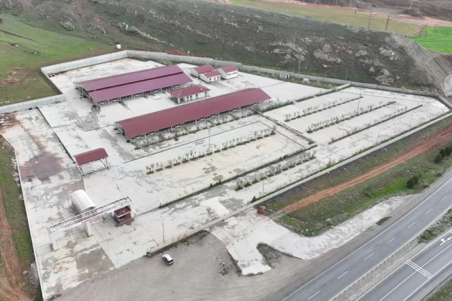 Sivas'ta kurban pazarı Kovalı'ya kuruluyor