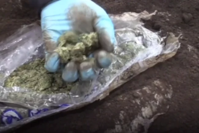 Gümrüklerde büyük operasyon! 16,5 milyar TL'lik kaçakçılık engellendi!