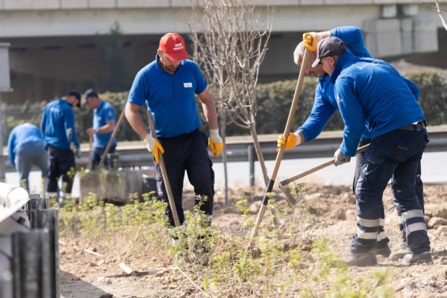 İzmir 'daha yeşil' olacak