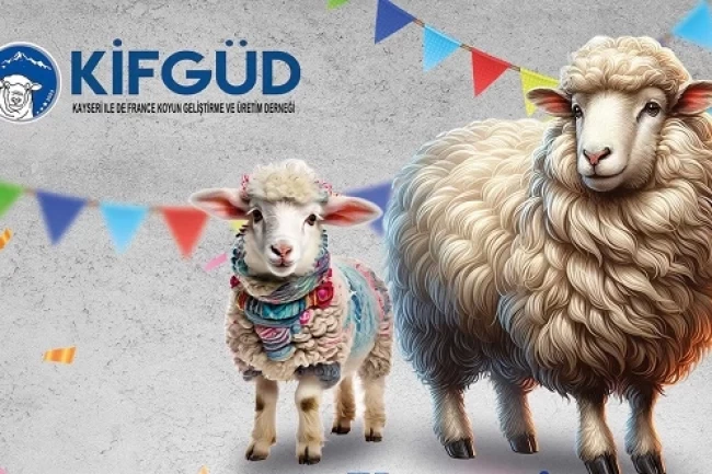 Kayseri Talas'ta France ırkına özel festival