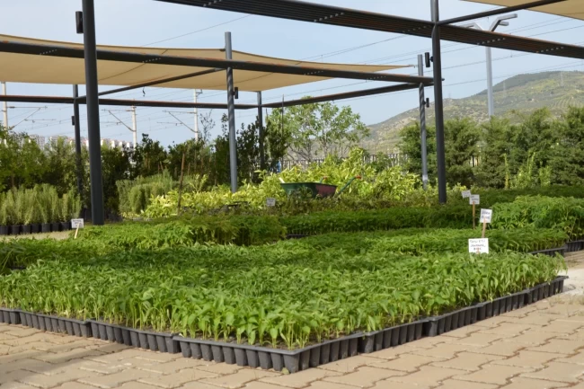 Efes Tarlası Yaşam Köyü'nde yerel tohumlarla üretim sürüyor