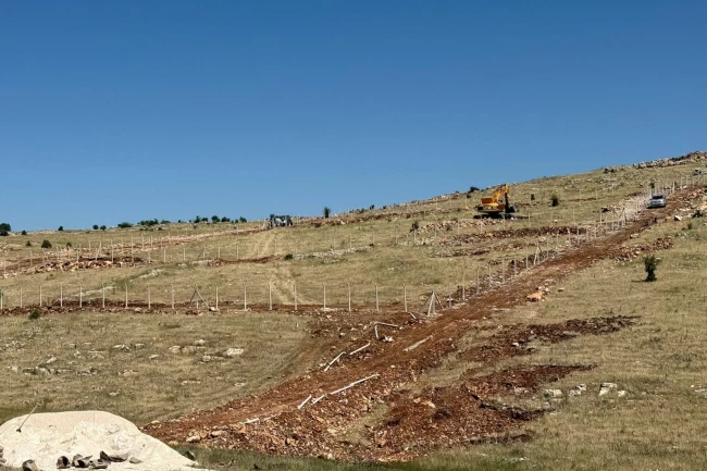 Mardin Artuklu Belediyesi'nden hayvan dostu projeler