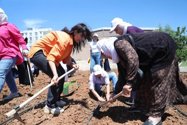 Kent Kadın Bostanları projesi Mardin Artuklu'da hayata geçti
