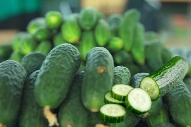 ABD'de salmonella alarmı! O salatalıklar toplatılıyor!