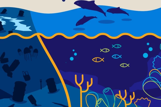 Marmara Denizi Günü bu yıl 3 Haziran'da 'ekosistem restorasyonu' temasıyla kutlanacak