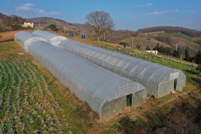 Kocaeli'den yüzde 50 hibeli sera desteği