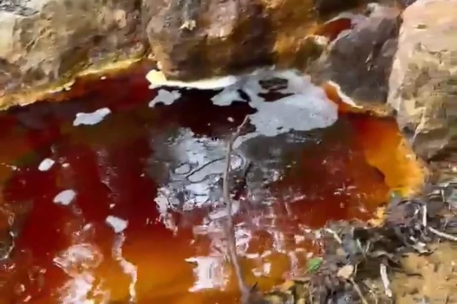 Sivas'ta yeni çevre felaketi! Dere kırmızıya boyandı!